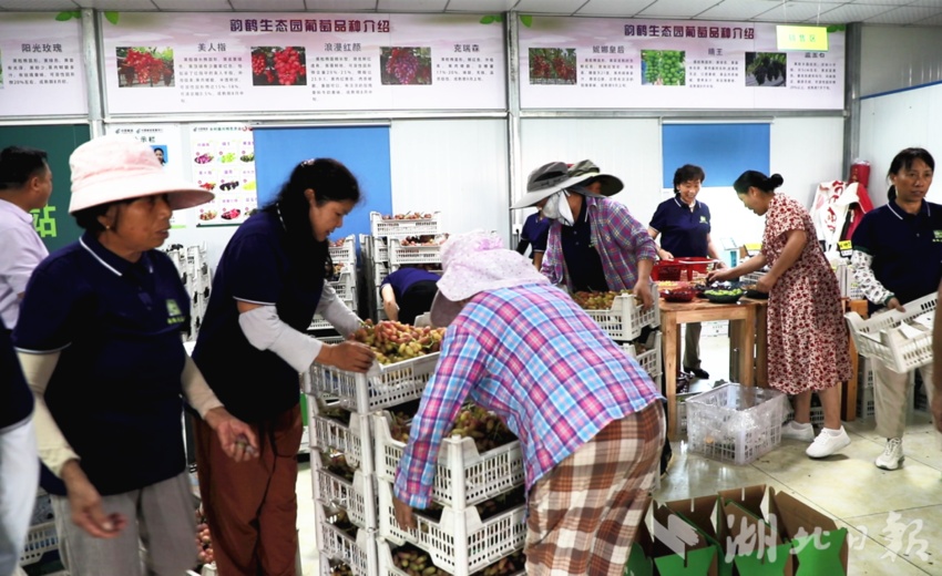 现金游戏网